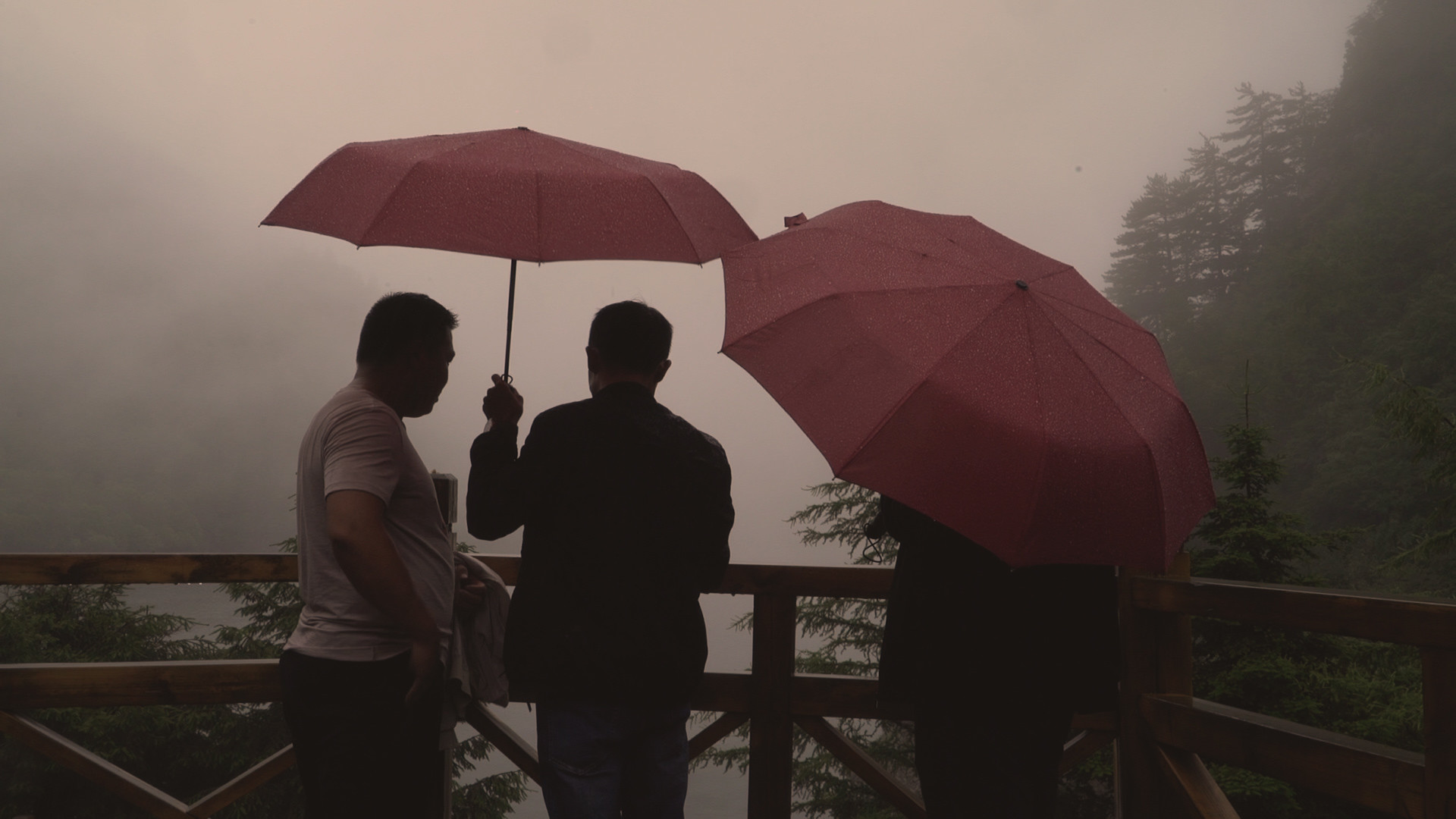 the road of the weather 9