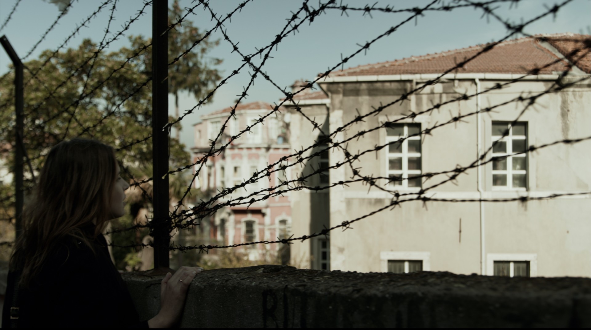 the unlost homeland 2