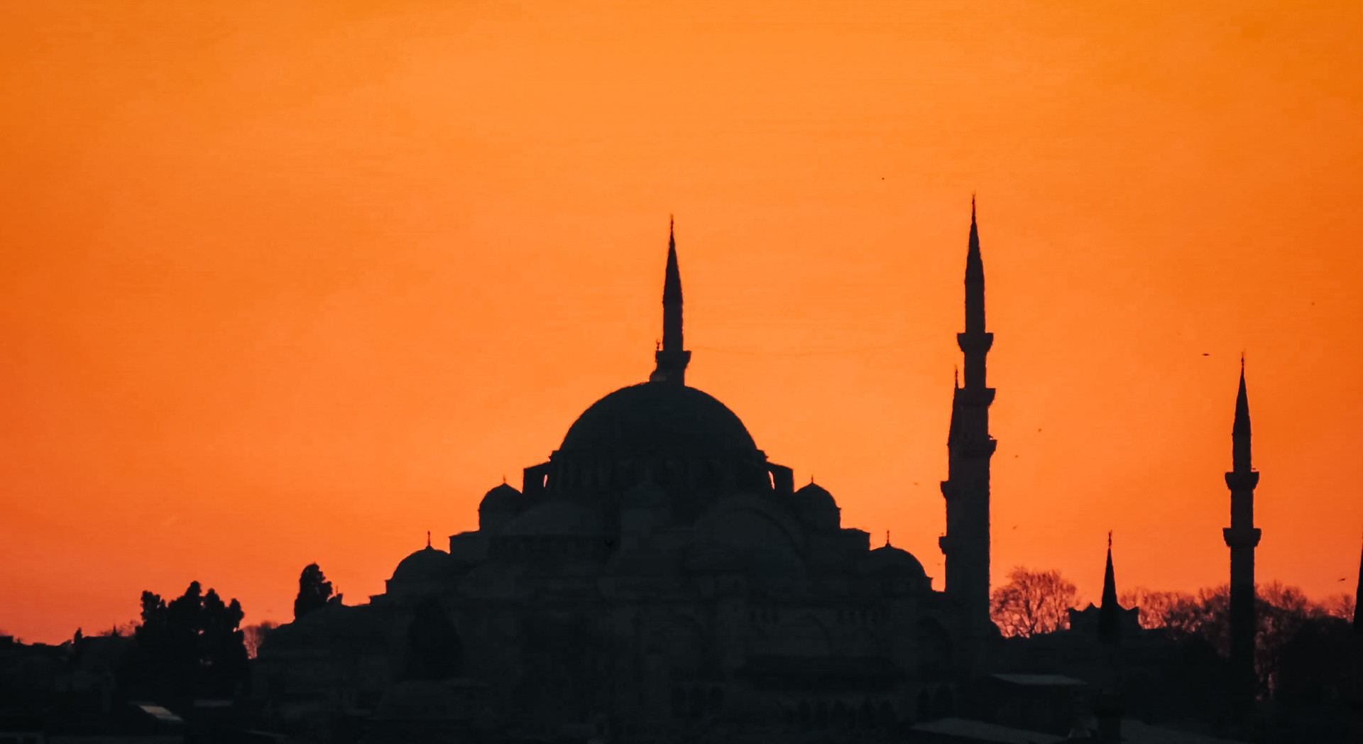 the unlost homeland 4