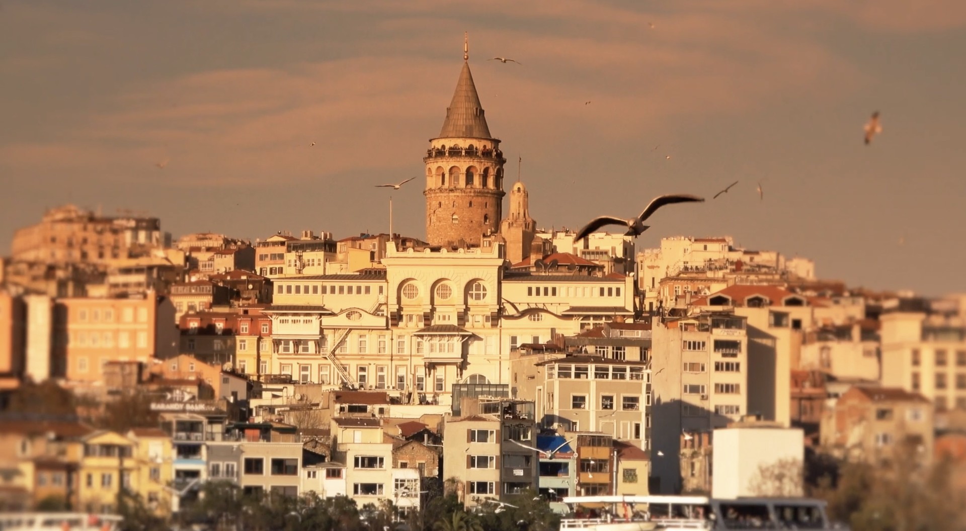 the unlost homeland 5